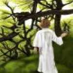 thumb_1106 (Medium).jpg